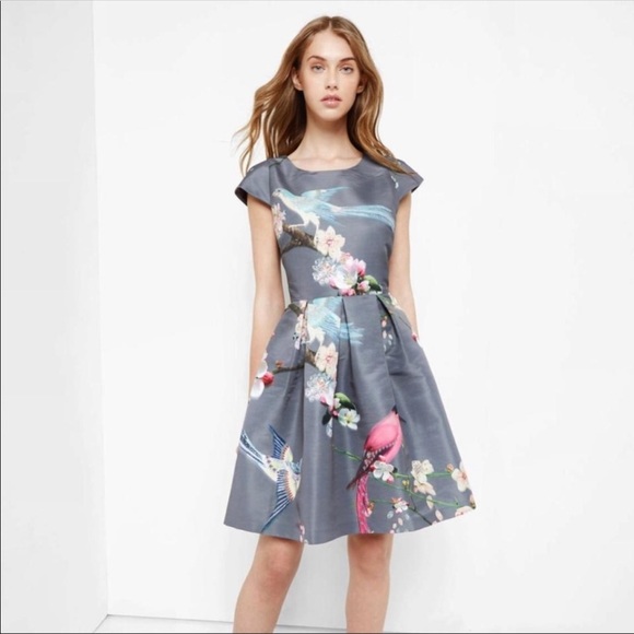 ted baker zaldana dress